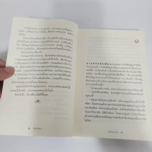 คลื่นลวง - กิ่งฉัตร รูปที่ 12