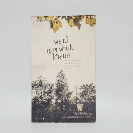 พรุ่งนี้เราจะผ่านไปได้เสมอ - เสียงที่ไม่ได้ยิน รูปที่ 1