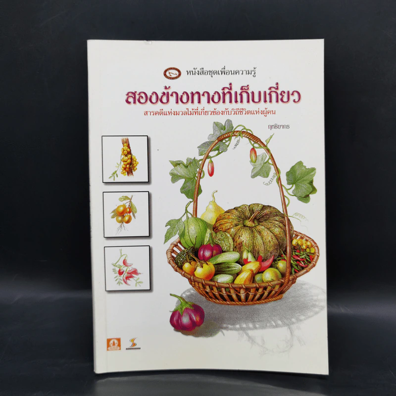สองข้างทางที่เก็บเกี่ยว สารคดีแห่งมวลไม้ที่เกี่ยวข้องกับวิถีชีวิตแห่งผู้คน - ฤทธิยากร รูปที่ 1