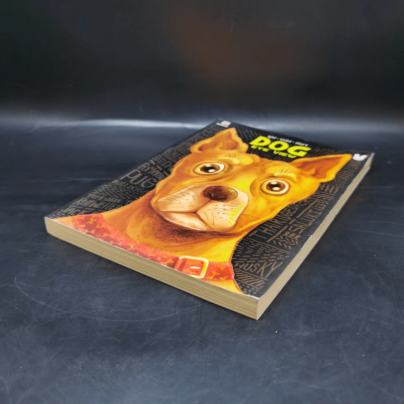 Dog Eye View (มุม มอง หมา) - ไตรภัค สุภวัฒนา รูปที่ 7