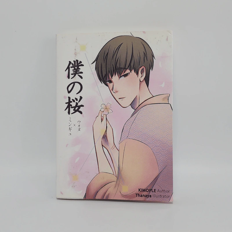 Seventeen Fiction - Kimople รูปที่ 2