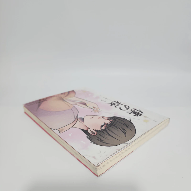 Seventeen Fiction - Kimople รูปที่ 6