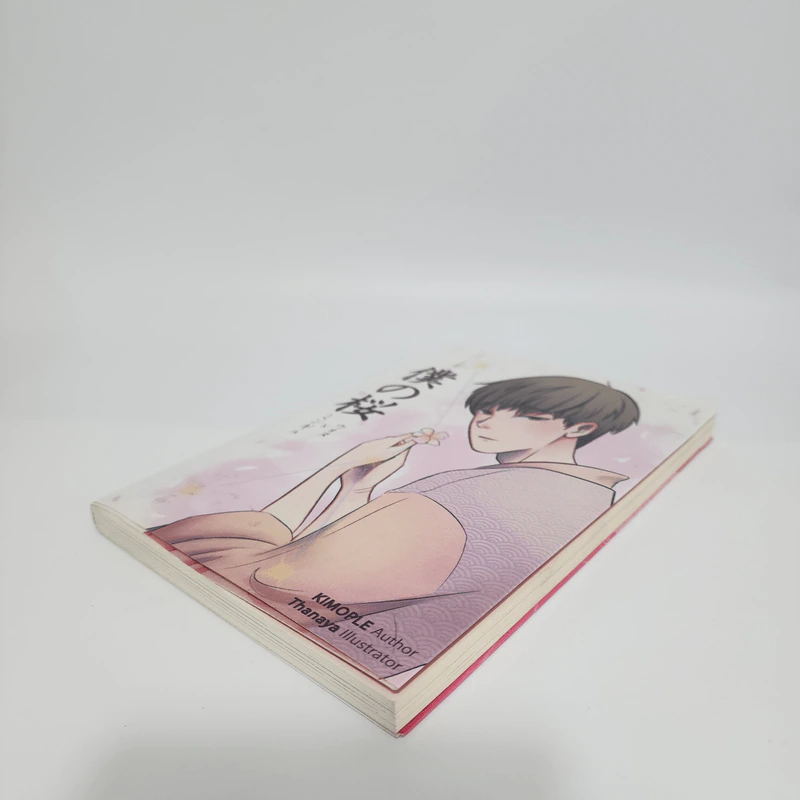 Seventeen Fiction - Kimople รูปที่ 5