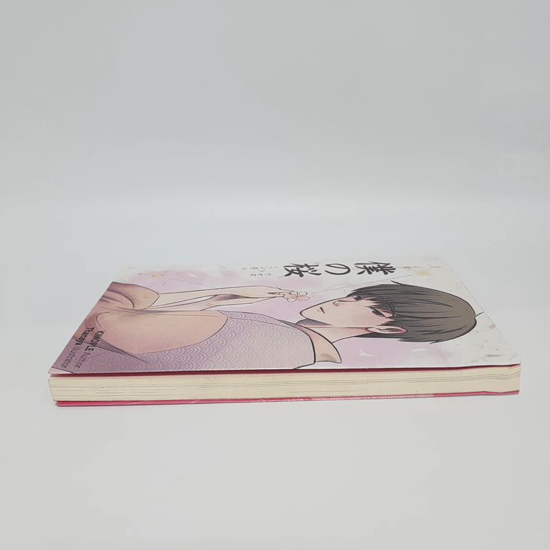 Seventeen Fiction - Kimople รูปที่ 4