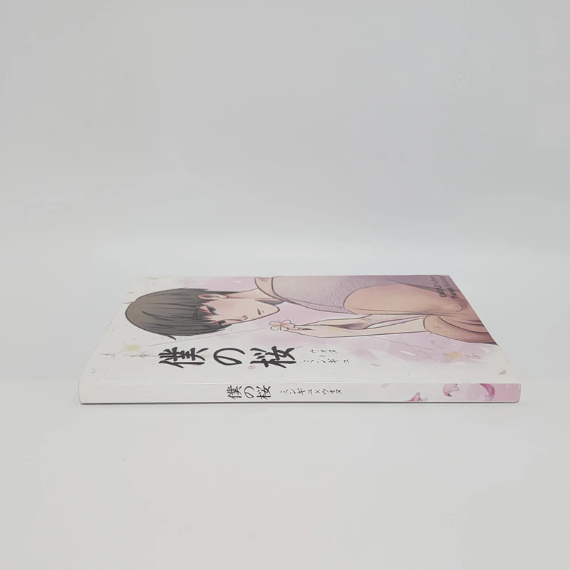 Seventeen Fiction - Kimople รูปที่ 3
