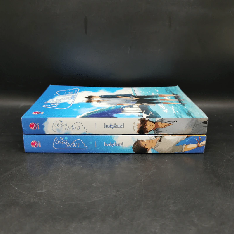 นิยายวาย เหนือเมฆ 2 เล่มจบ - huskyhund รูปที่ 3