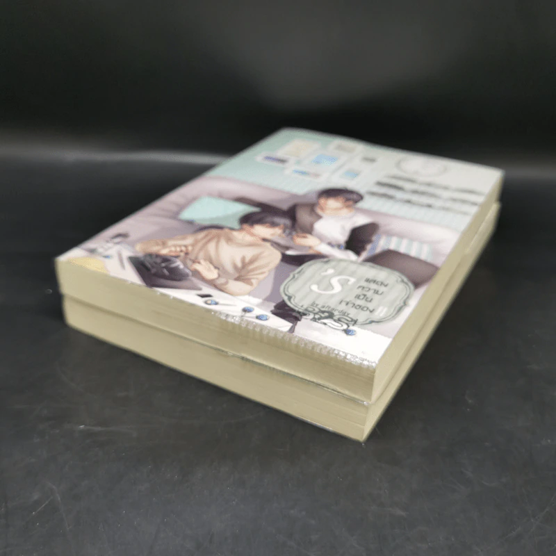 นิยายวาย ชุด 'S แสดงความเป็นเจ้าของ 2 เล่มจบ - afterday รูปที่ 6