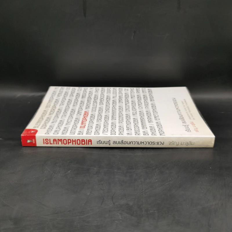Islamophobia : เรียนรู้ ลบเลือนความหวาดระแวง - จรัญ มะลูลีม รูปที่ 3