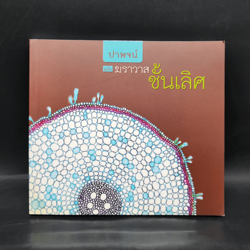 ปาพจน์ ฉบับ ฆราวาสชั้นเลิศ รูปที่ 1