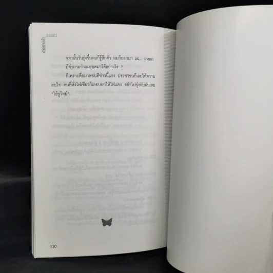อ่างอาบน้ำทองคำ - ชูวิทย์ กมลวิศิษฎ์ รูปที่ 12