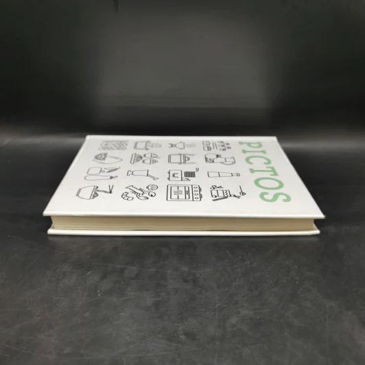 Pictos - Index Book รูปที่ 5