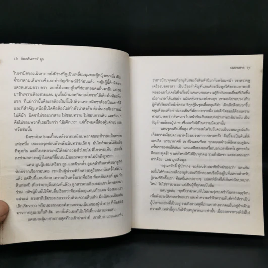ท็อดฮันเตอร์ มูน เล่ม 1 : ผู้นำทาง - Angie Sage รูปที่ 12