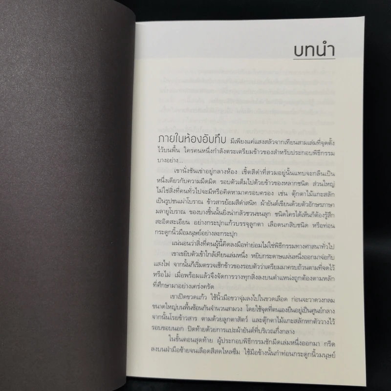 เกาะชะตาฆาต Summer - ปองวุฒิ รูปที่ 9