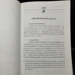 พระแก้วมรกตและรัตนพิมพวงศ์ (ตำนานพระแก้วมรกต) รูปที่ 11