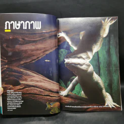 National Geographic ฉบับที่ 122 ก.ย.2554 ใครๆก็บินได้ รูปที่ 11
