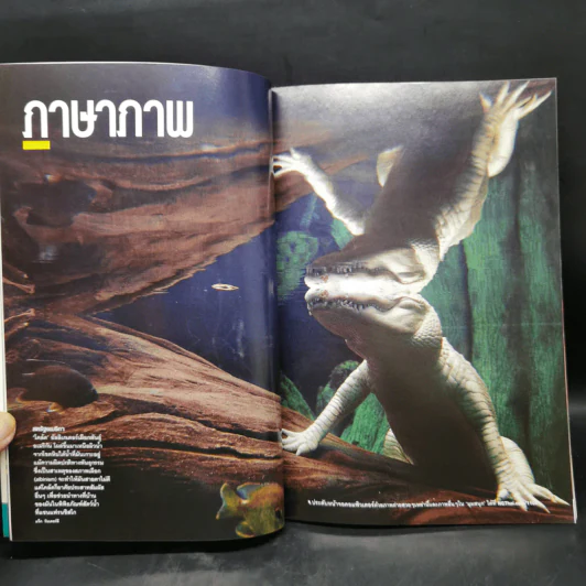 National Geographic ฉบับที่ 122 ก.ย.2554 ใครๆก็บินได้ รูปที่ 11