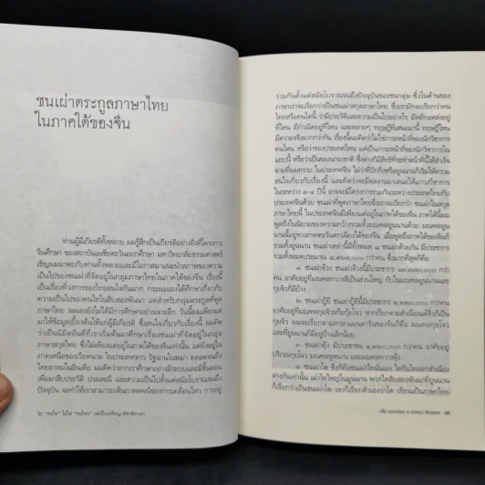 คนไทไม่ใช่คนไทย แต่เป็นเครือญาติชาติภาษา - เจีย แยนจอง รูปที่ 10