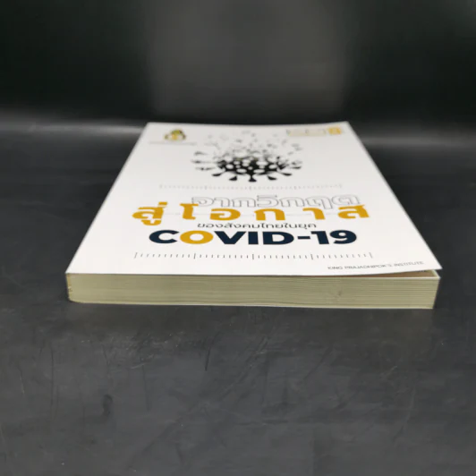 จากวิกฤตสู่โอกาสของสังคมไทยในยุค Covid-19 - ธีรพรรณ ใจมั่น รูปที่ 4