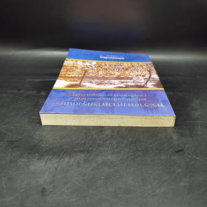 พระราชพงศาวดารกรุงธนบุรี แผ่นดินสมเด็จพระบรมราชาที่ 4 (สมเด็จพระเจ้าตากสินมหาราช) ฉบับหมอบรัดเล รูปที่ 6