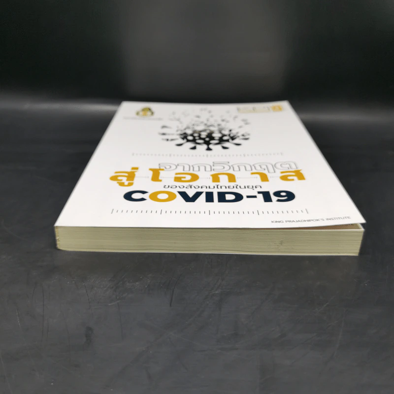 จากวิกฤตสู่โอกาสของสังคมไทยในยุค Covid-19 - ธีรพรรณ ใจมั่น รูปที่ 4