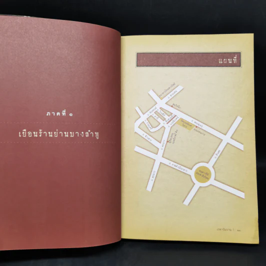 เสน่ห์ร้านเก่า - ธนาทิพ ฉัตรภูติ รูปที่ 11
