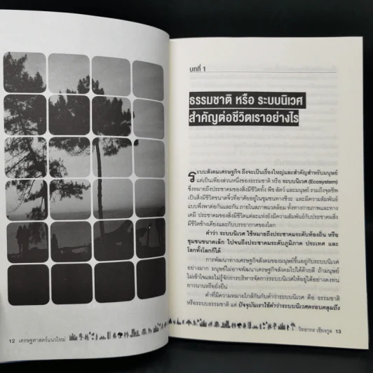 เศรษฐศาสตร์แนวใหม่ - รศ.วิทยากร เชียงกูล รูปที่ 10
