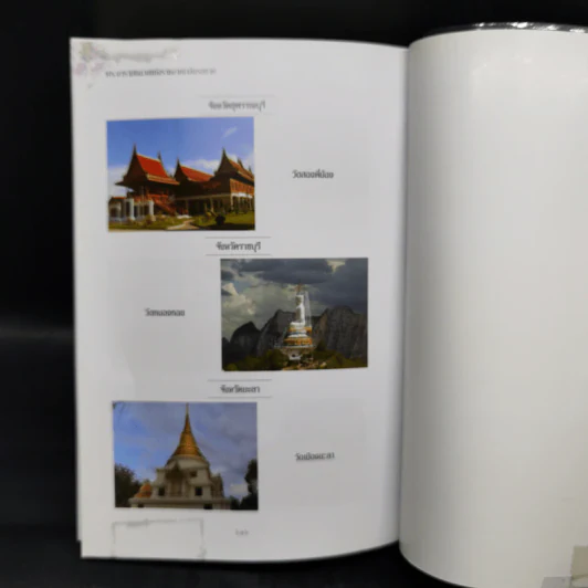 พระอารามหลวง แห่งราชอาณาจักรสยาม - ลำจุล ฮวบเจริญ รูปที่ 16
