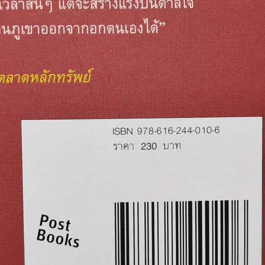 ภูเขาเคลื่อนได้ - ศรินทร เมธีวัชรานนท์ รูปที่ 12