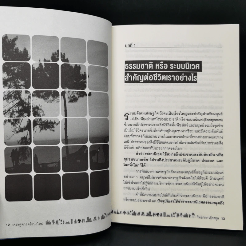 เศรษฐศาสตร์แนวใหม่ - รศ.วิทยากร เชียงกูล รูปที่ 10