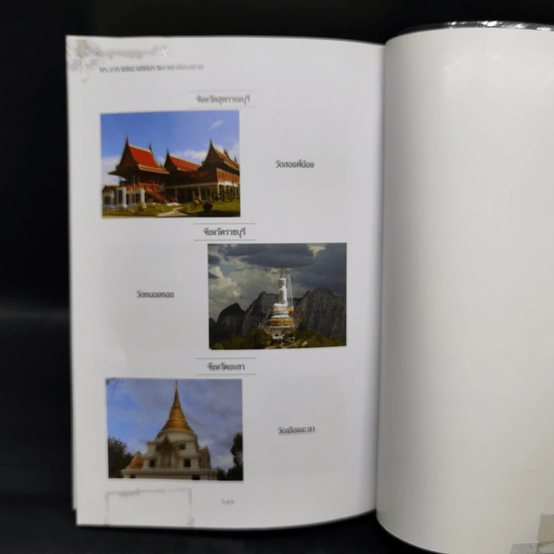 พระอารามหลวง แห่งราชอาณาจักรสยาม - ลำจุล ฮวบเจริญ รูปที่ 16