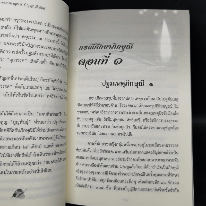 กรณีศึกษาภิกษุณี - พระมหาอุเทน ปัญญาปริทัตต์ รูปที่ 11