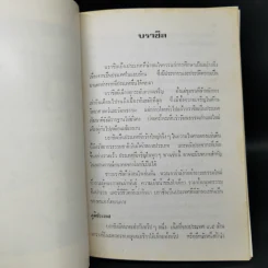 ไทยในบราซิล รูปที่ 9