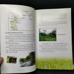 พรรณไม้ภูพาน - ประนอม จันทรโณทัย รูปที่ 9
