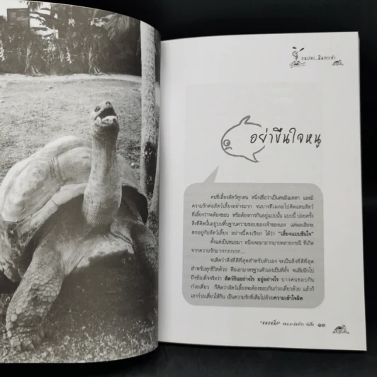 แฉปลานินทาเต่า - สพญ.ดร.นันทริกา ชันซื่อ รูปที่ 11