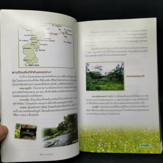 พรรณไม้ภูพาน - ประนอม จันทรโณทัย รูปที่ 9