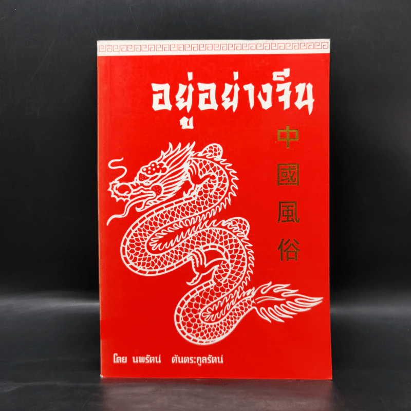 อยู่อย่างจีน - นพรัตน์ ต้นตระกูลรัตน์ รูปที่ 1