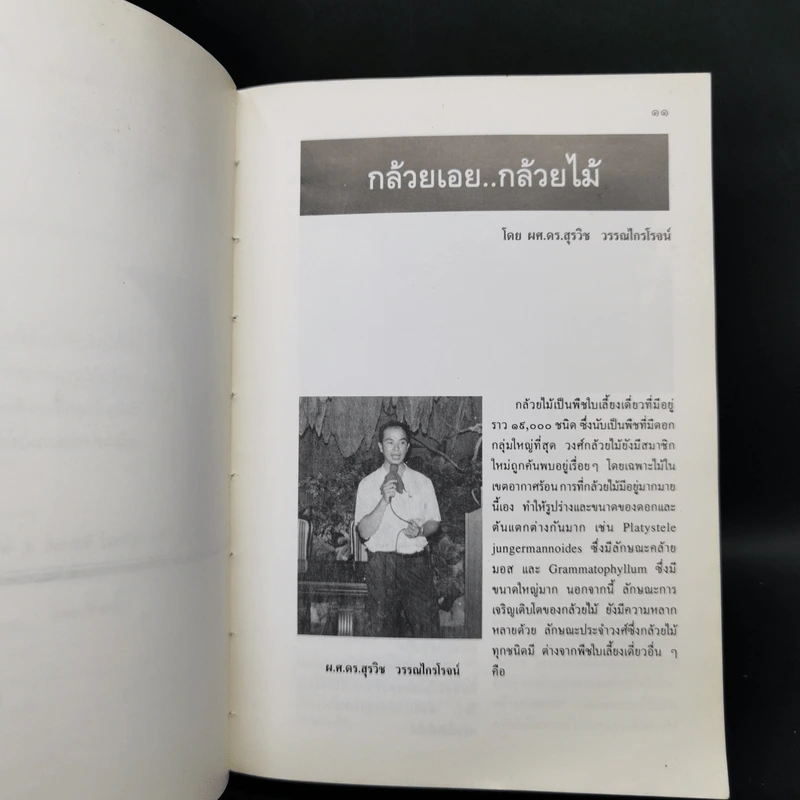 ปลูกเลี้ยงกล้วยไม้ ความลับนอกเหนือตำราจากประสบการณ์ - สมศักดิ์ รักไพบูลย์สมบัติ รูปที่ 11