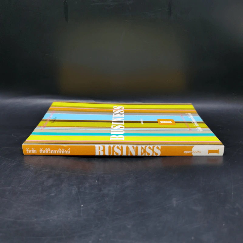 Business 1 - วันชัย ตันติวิทยาพิทักษ์ รูปที่ 3