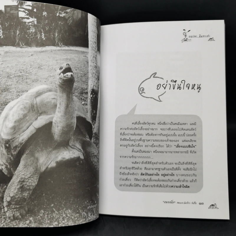 แฉปลานินทาเต่า - สพญ.ดร.นันทริกา ชันซื่อ รูปที่ 11