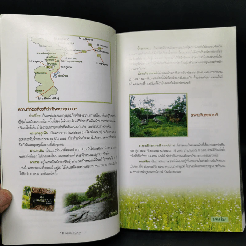 พรรณไม้ภูพาน - ประนอม จันทรโณทัย รูปที่ 9