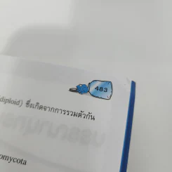 ศัพท์ชีววิทยา - นายแพทย์สุเทพ พณิชยา รูปที่ 14