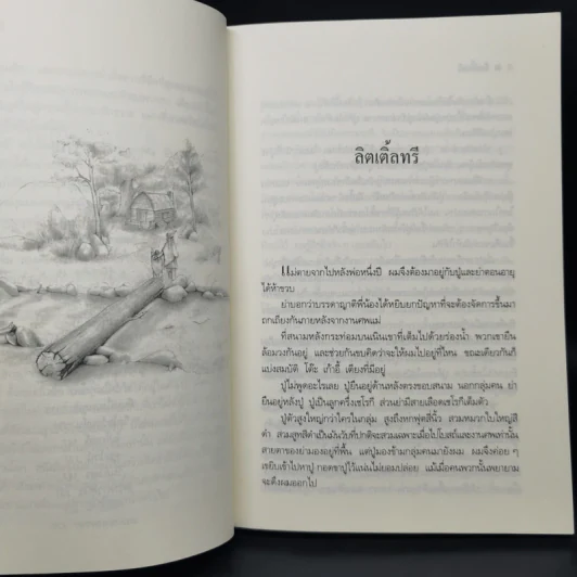 ลิตเติ้ลทรี - ฟอร์เรสต์ คาเตอร์ รูปที่ 10