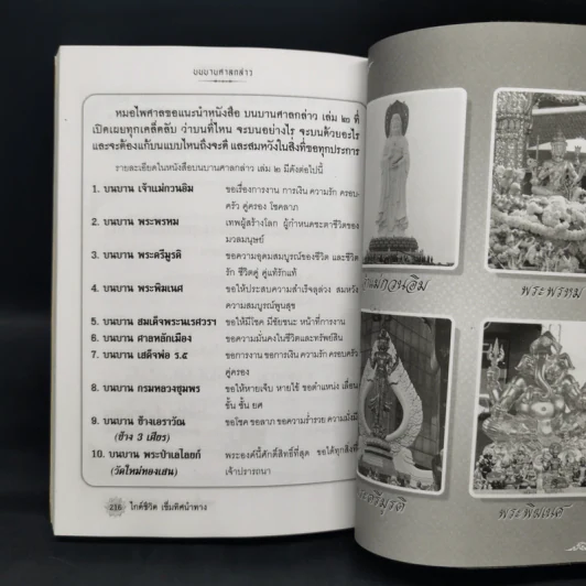 บนบานศาลกล่าว - หมอไพศาล ซอยพิบูลเวศม์ รูปที่ 11