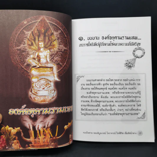 บนบานศาลกล่าว - หมอไพศาล ซอยพิบูลเวศม์ รูปที่ 9