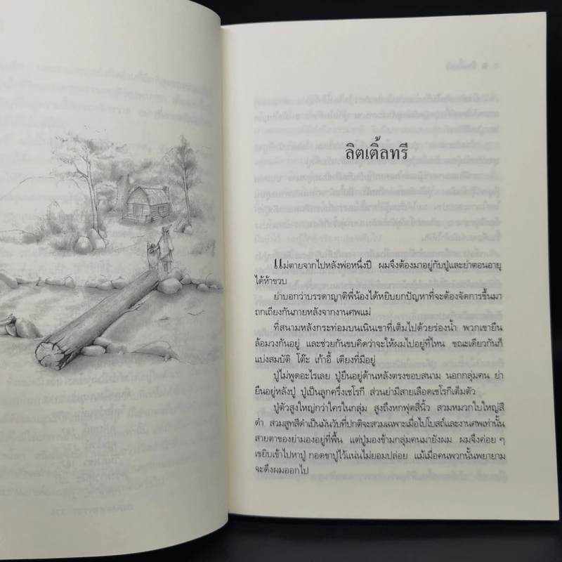 ลิตเติ้ลทรี - ฟอร์เรสต์ คาเตอร์ รูปที่ 10