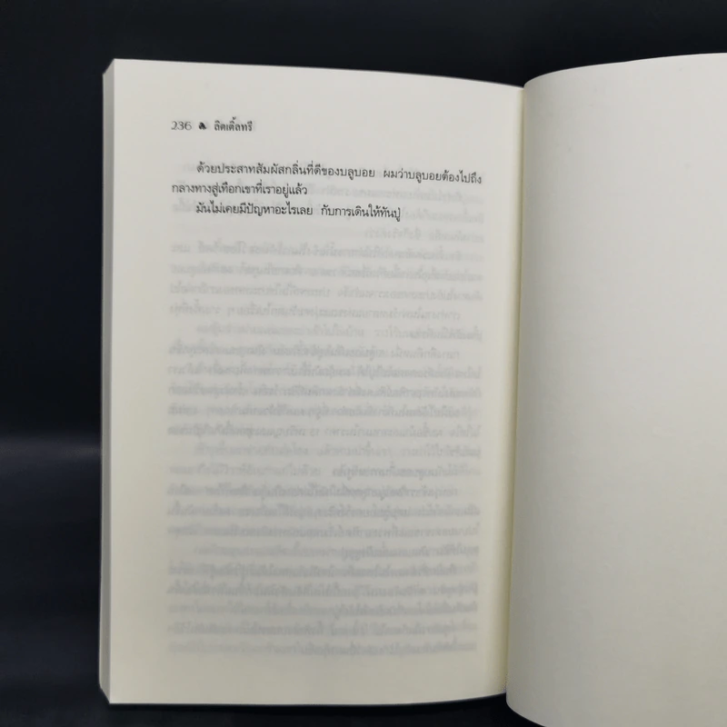 ลิตเติ้ลทรี - ฟอร์เรสต์ คาเตอร์ รูปที่ 11