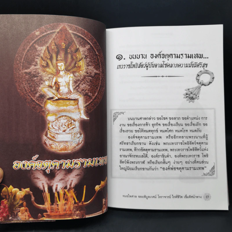 บนบานศาลกล่าว - หมอไพศาล ซอยพิบูลเวศม์ รูปที่ 9