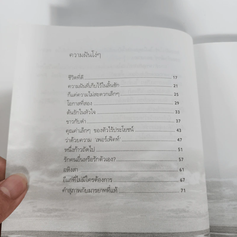 ความฝันโง่ๆ หนังสือเสริมกำลังใจ ชุด 2 - วินทร์ เลียววาริณ รูปที่ 13