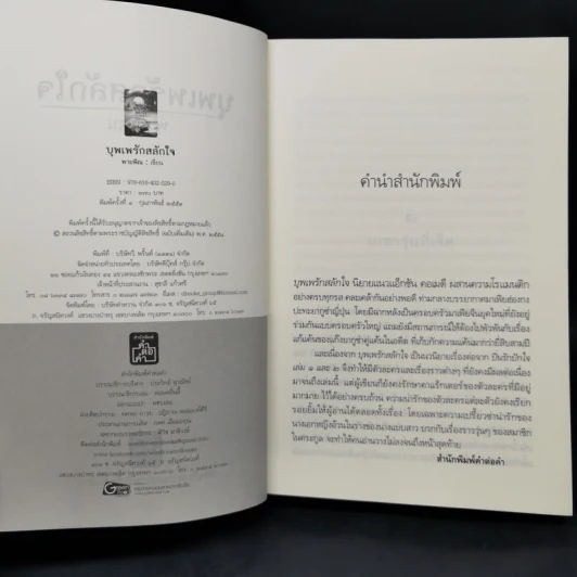 บุพเพรักสลักใจ - พายพิณ รูปที่ 8