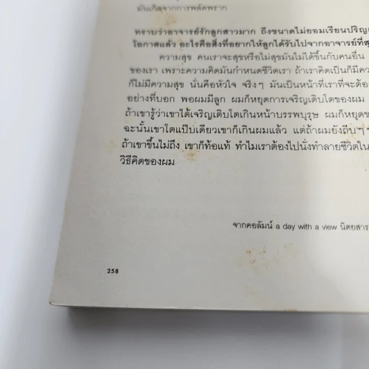 หมอก - ทรงกลด บางยี่ขัน รูปที่ 10